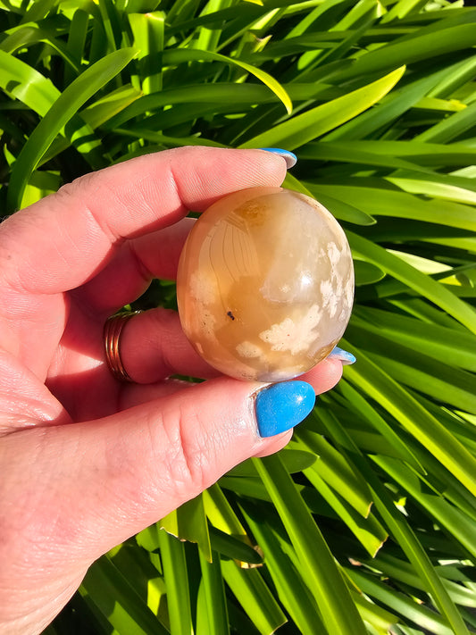 Flower Agate Palm Stone G