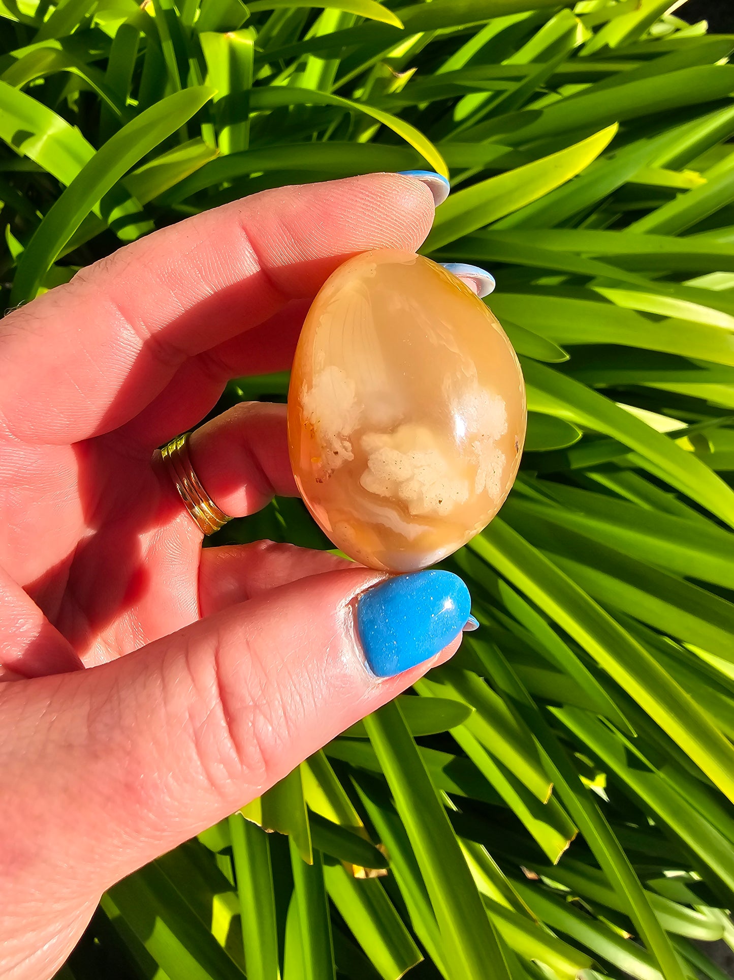 Flower Agate Palm Stone G