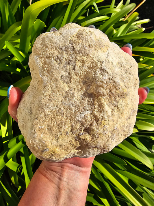 Uncracked Quartz Geode XLarge