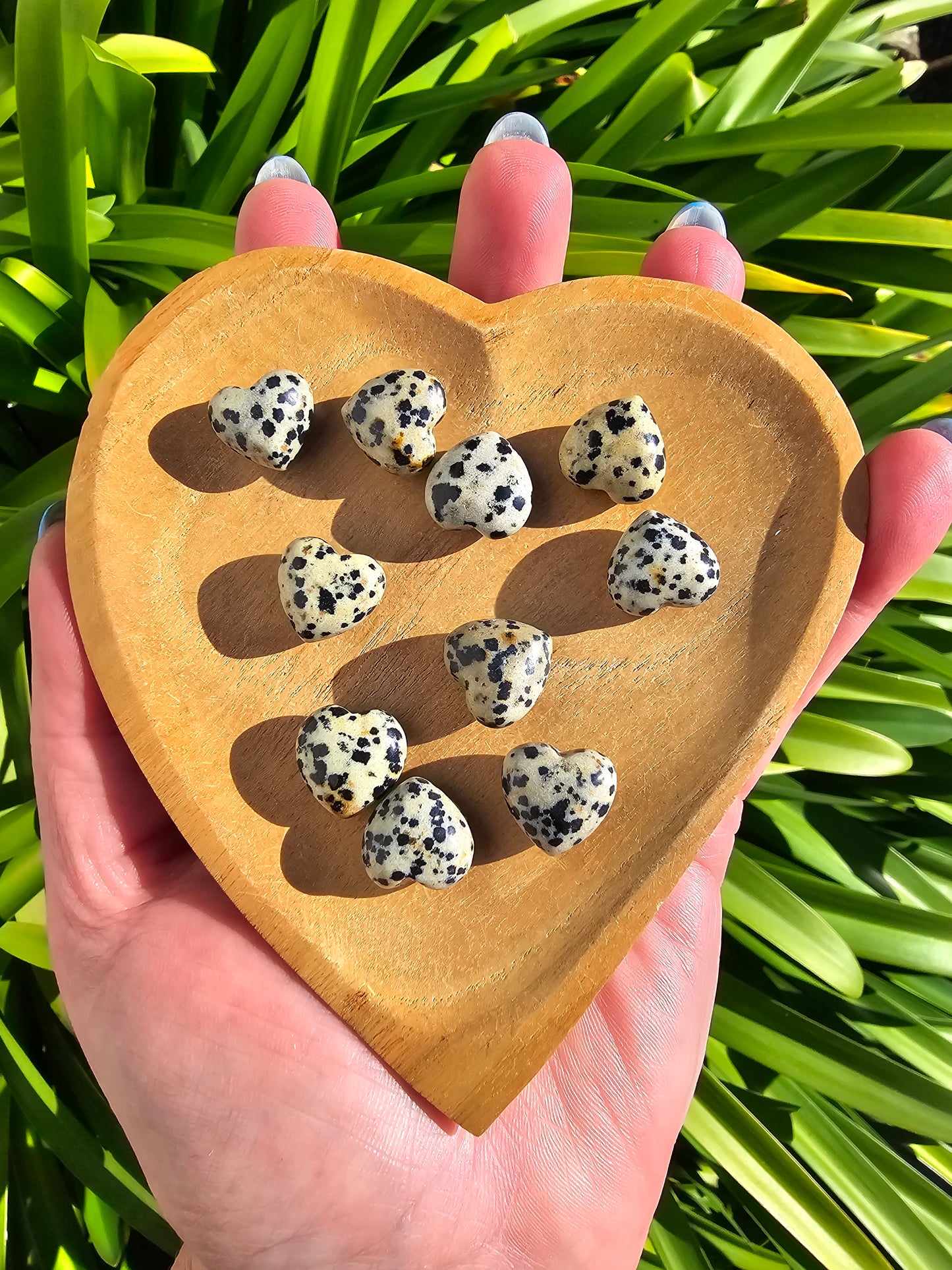 Dalmatian Jasper Mini Heart