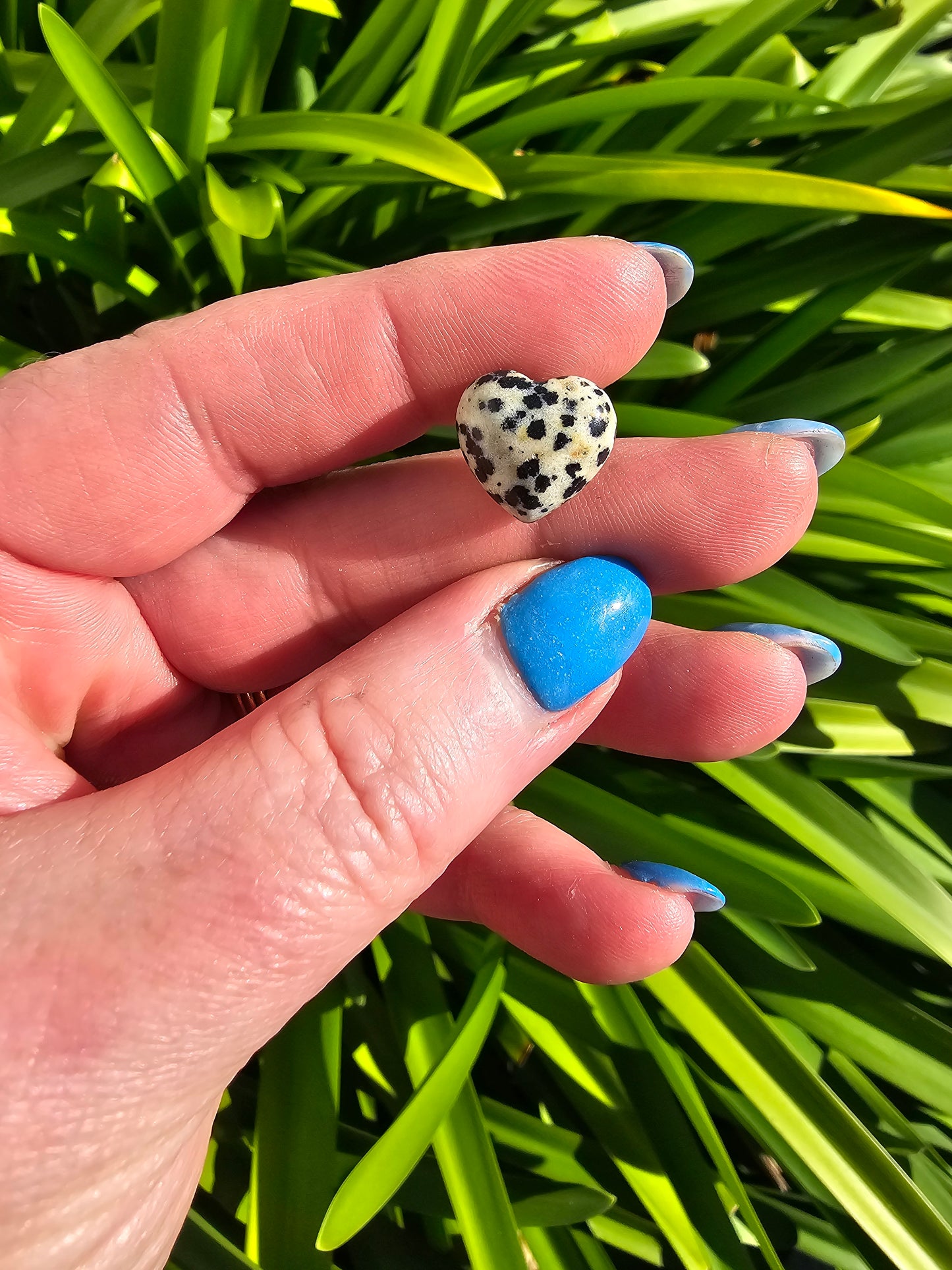 Dalmatian Jasper Mini Heart