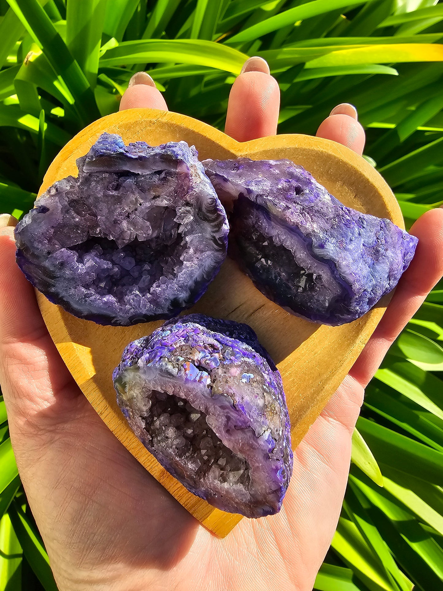 Agate Geode | Cave Purple XLarge