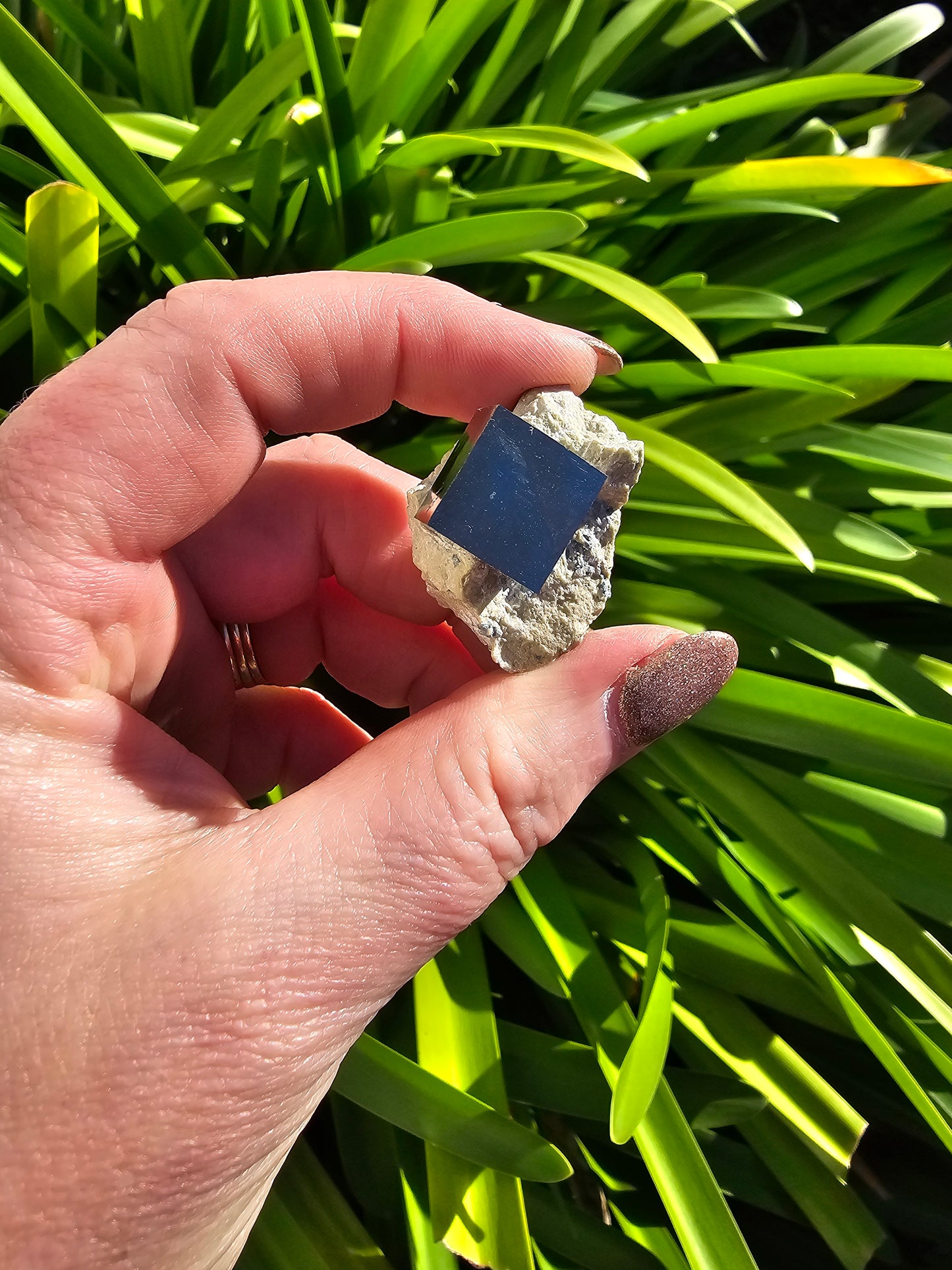 Pyrite Cube In Quartz Piece B