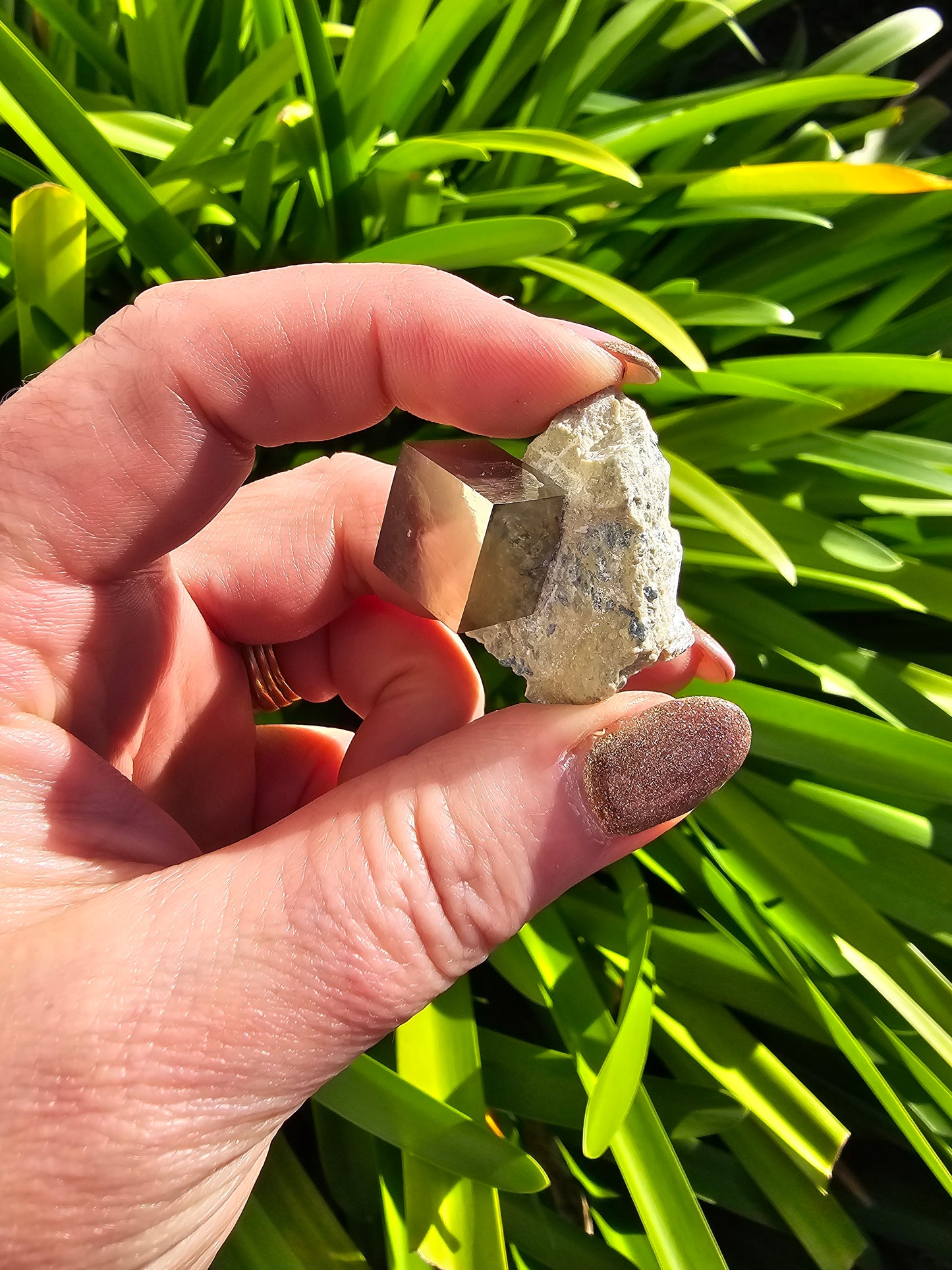 Pyrite Cube In Quartz Piece B