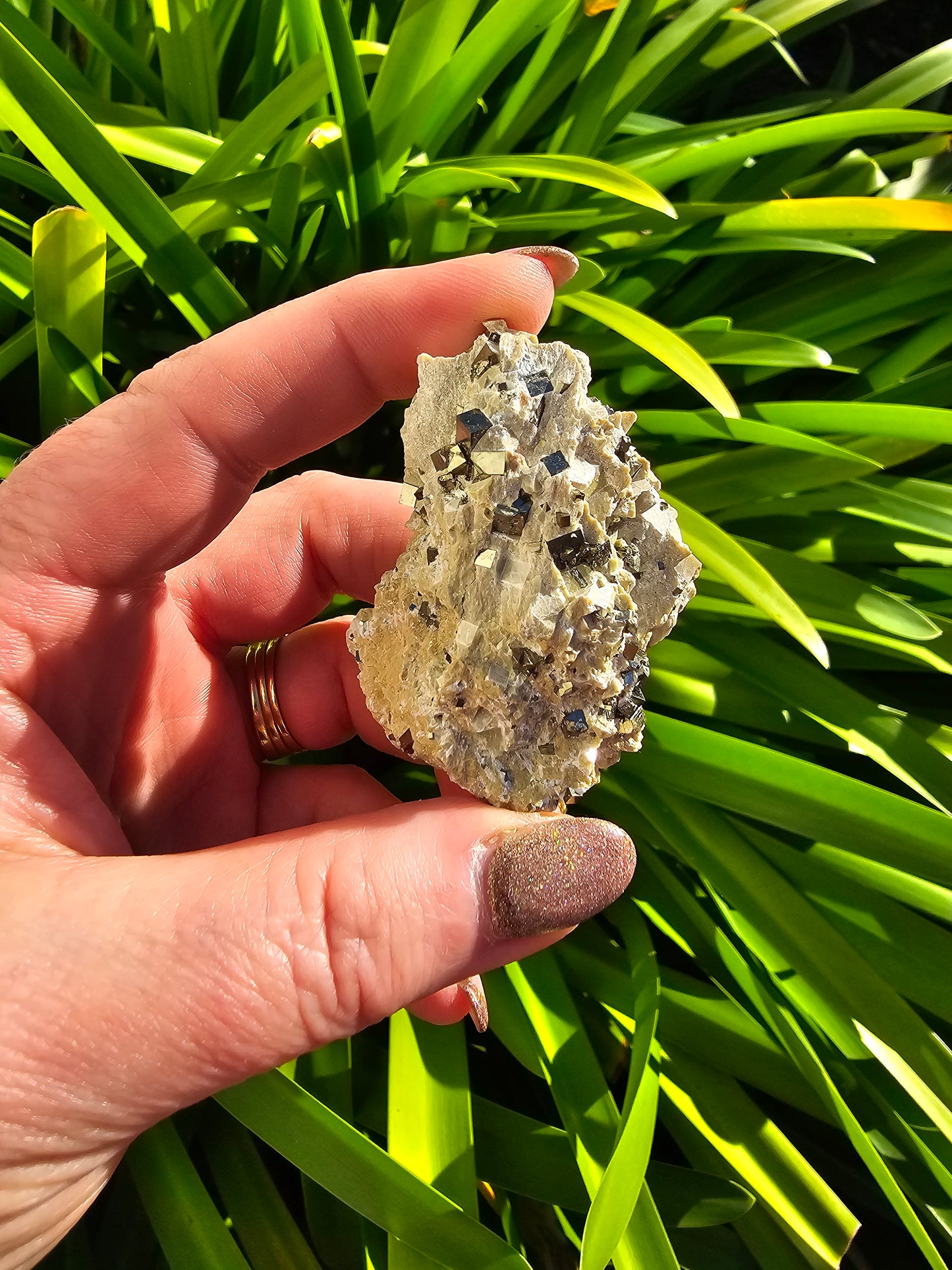 Pyrite Cubes In Quartz Piece A