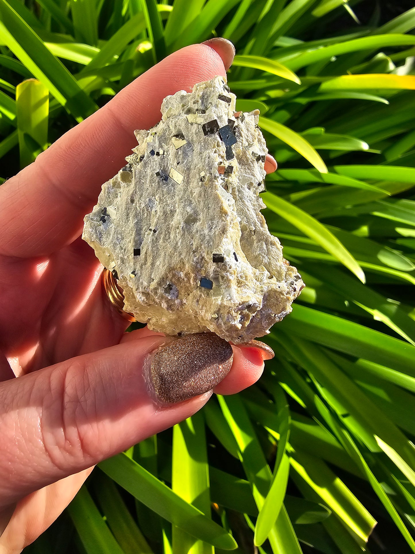 Pyrite Cubes In Quartz Piece A