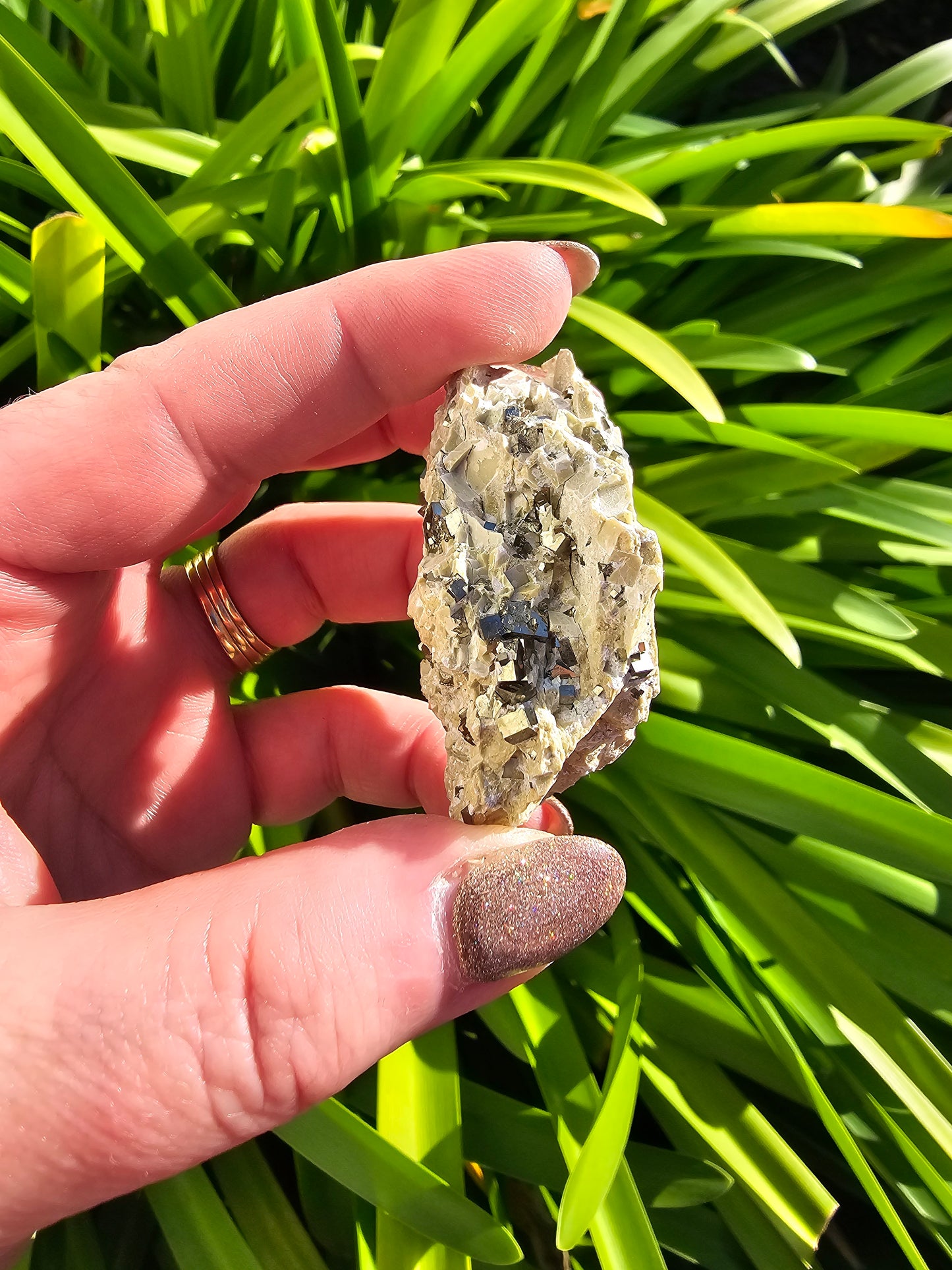 Pyrite Cubes In Quartz Piece A