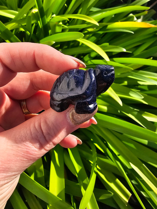 Blue Goldstone Turtle