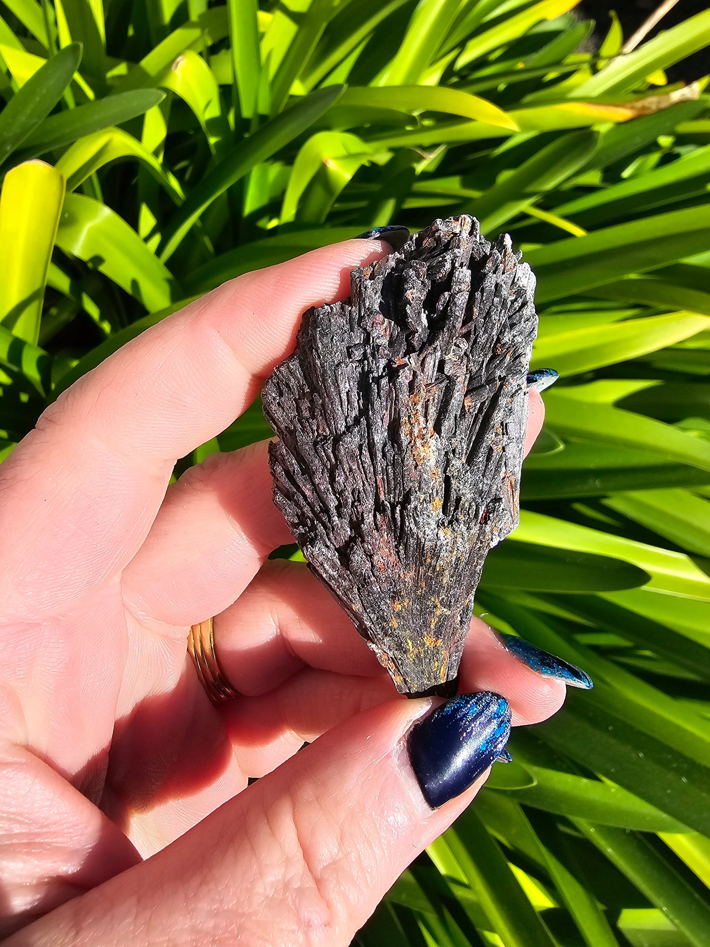 Black Kyanite Blade Medium