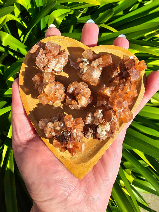 Aragonite Sputnik Medium