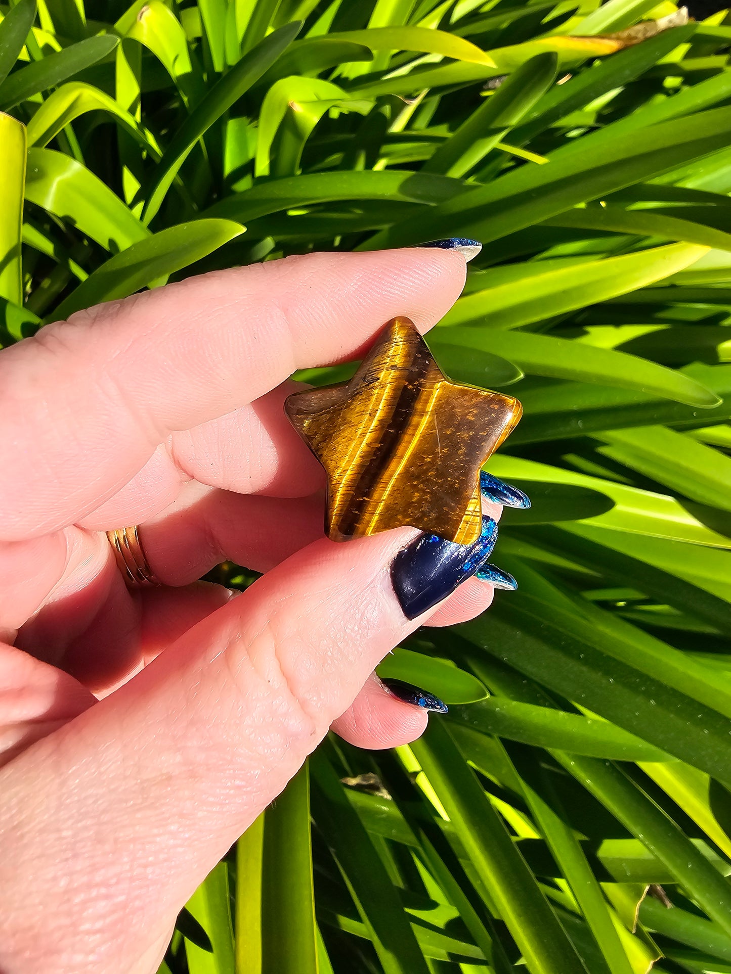 Tigers Eye Mini Star