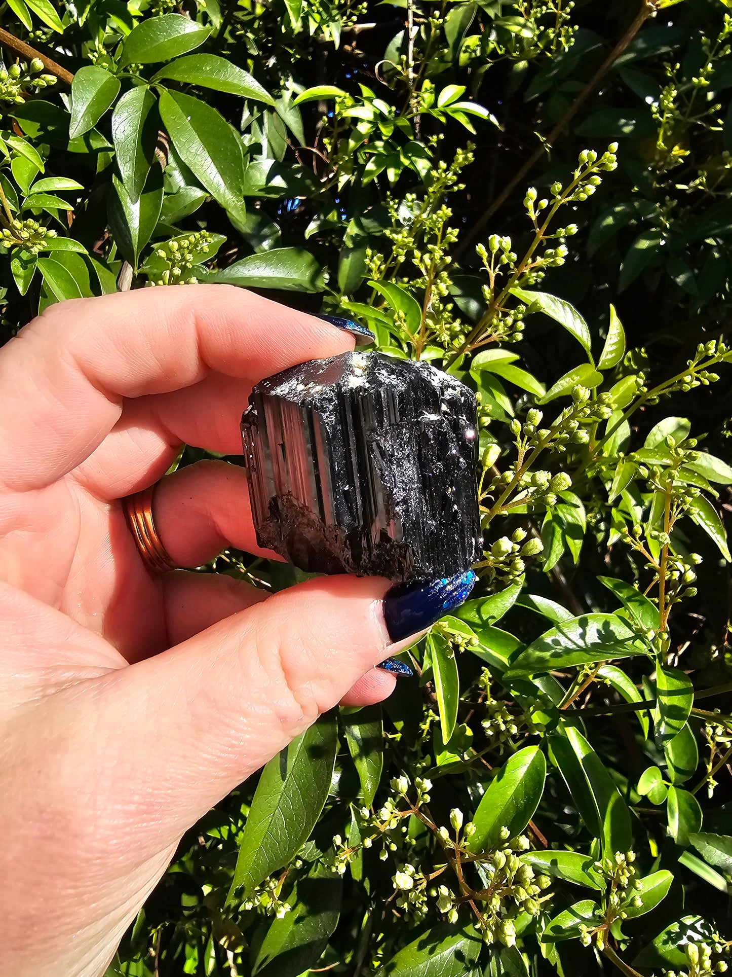 Black Tourmaline Rough E