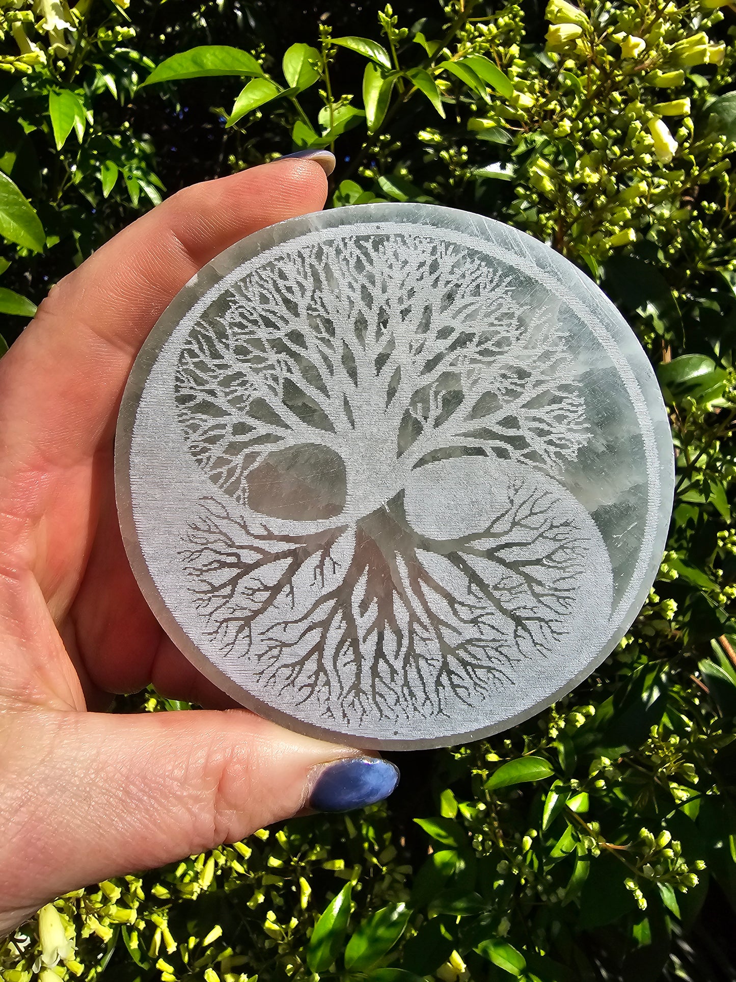 Selenite Yin Yang Tree Of Life Charging Plate