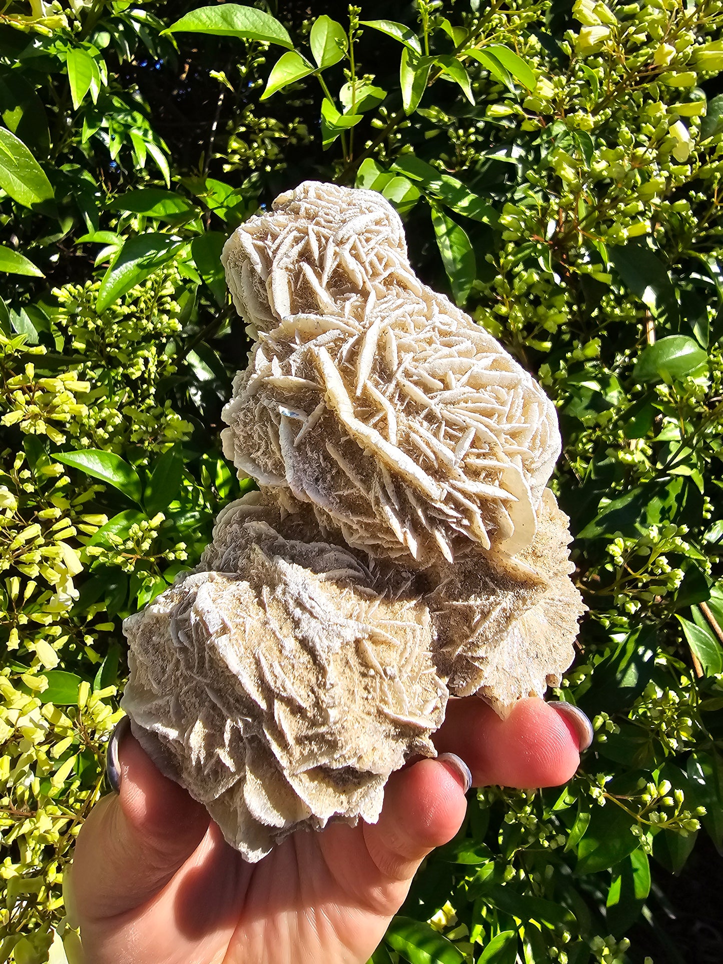 Desert Rose Piece E