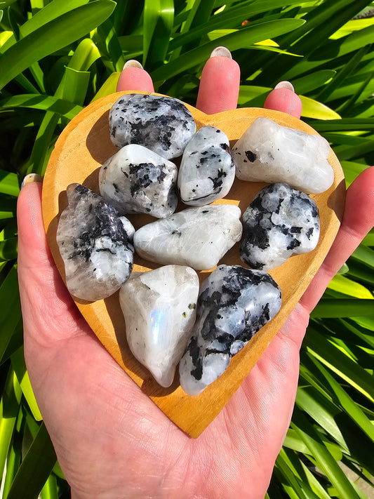 Rainbow Moonstone Tumbled Stone