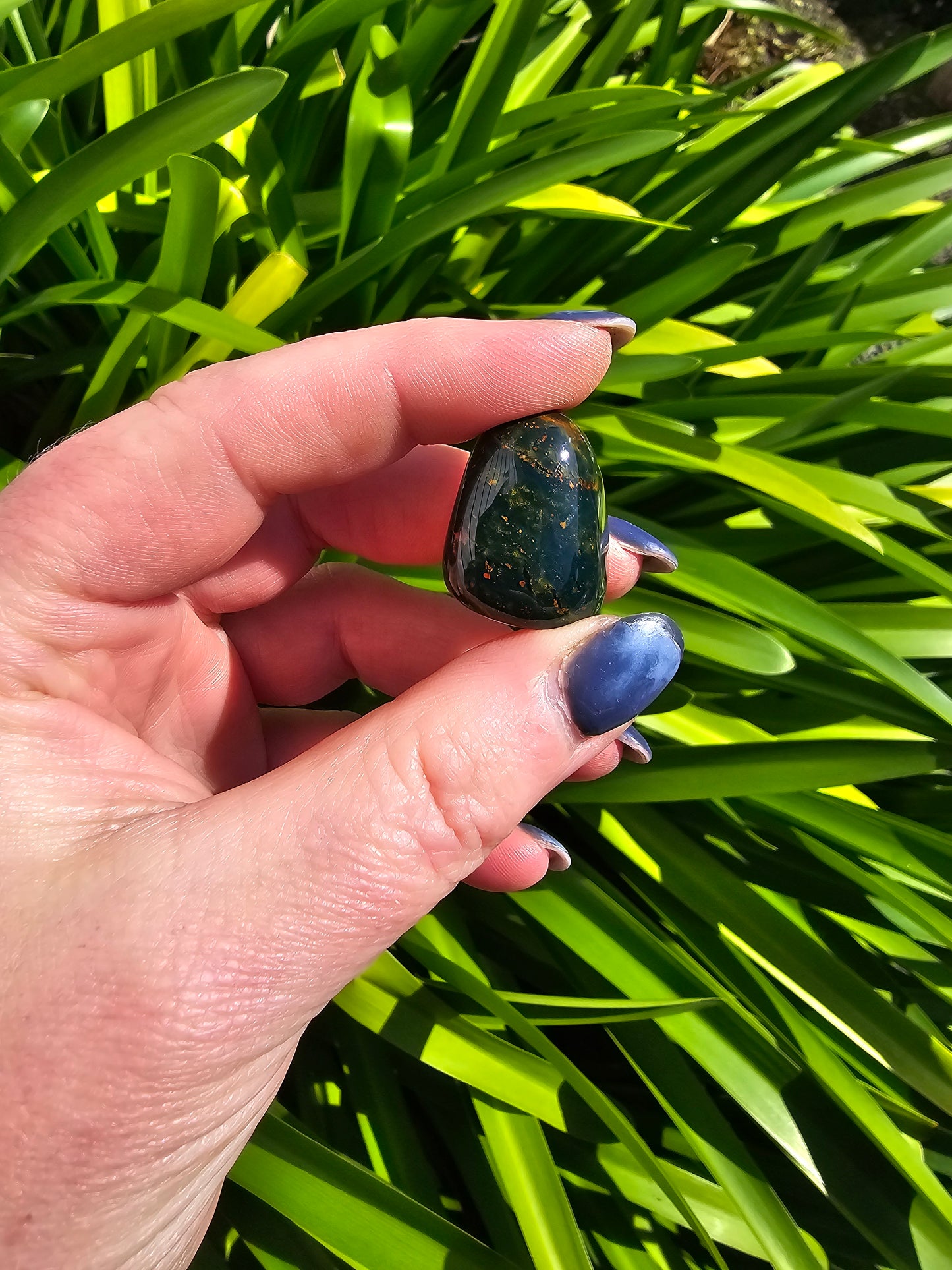 Bloodstone Tumbled Stone