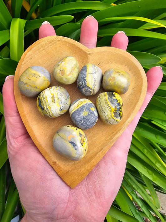 Bumble Bee Jasper Tumbled Stone