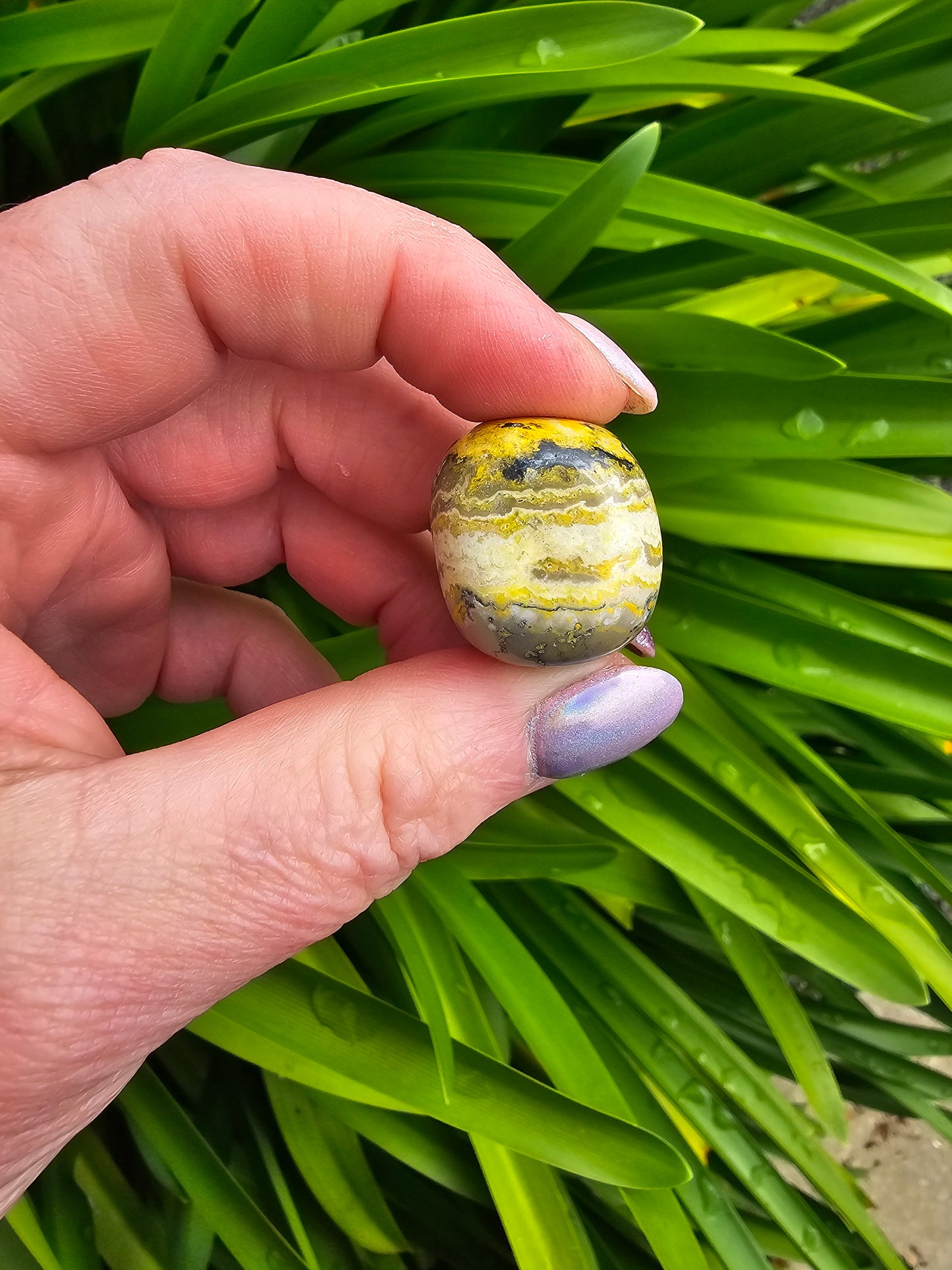 Bumble Bee Jasper Tumbled Stone