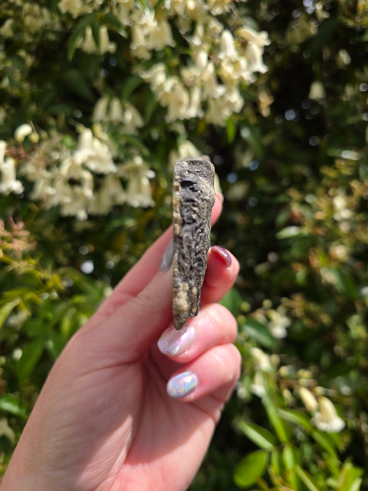 Labradorite Semi Polished Piece E