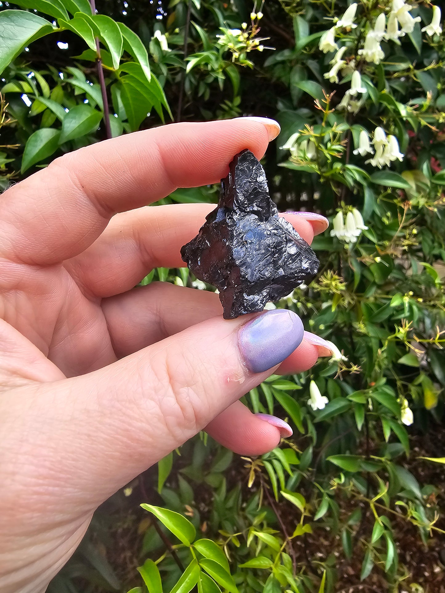 Elite Shungite Rough Piece A