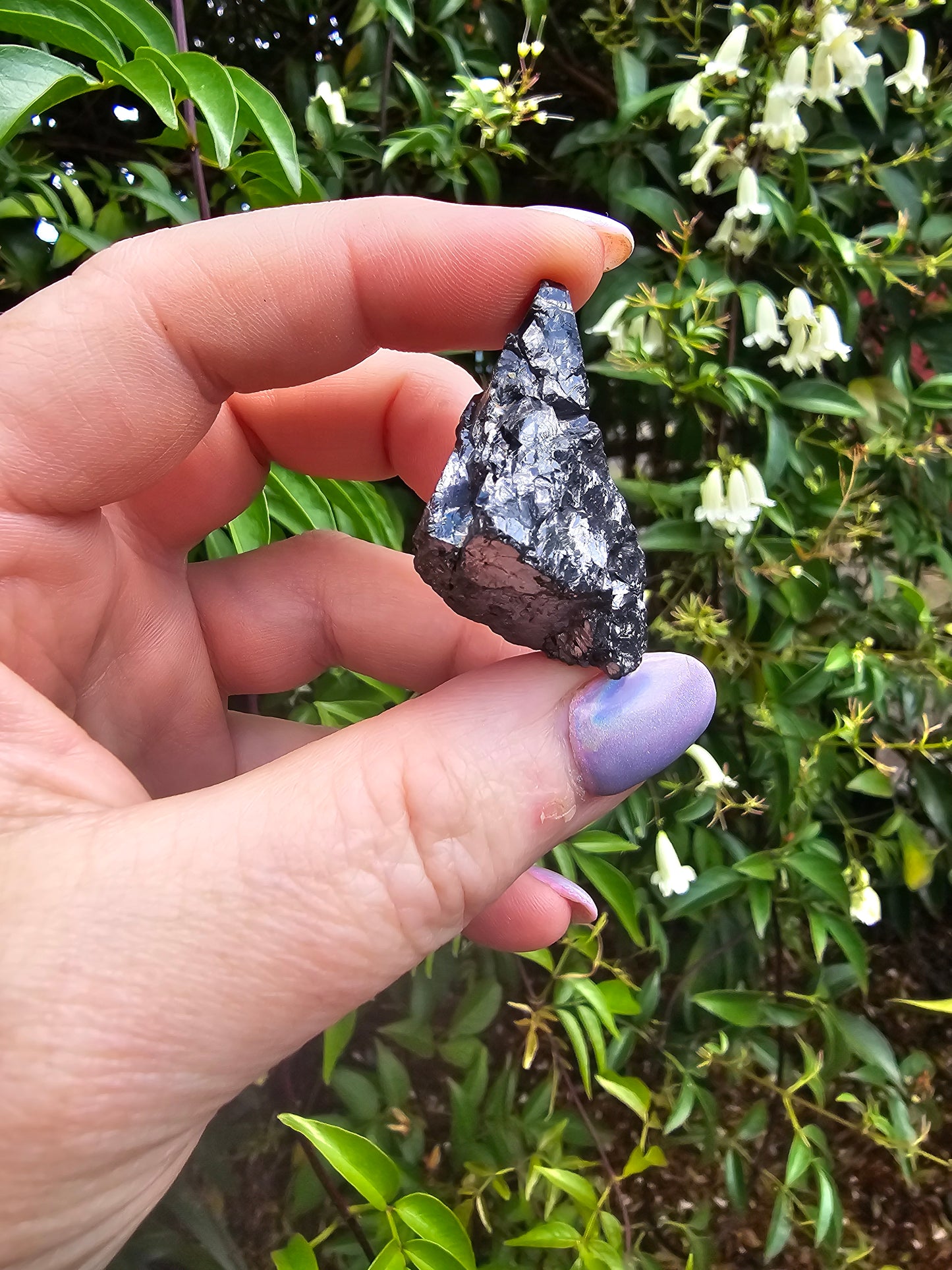 Elite Shungite Rough Piece A