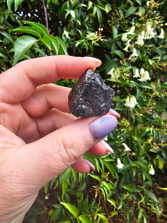 Elite Shungite Rough Piece E