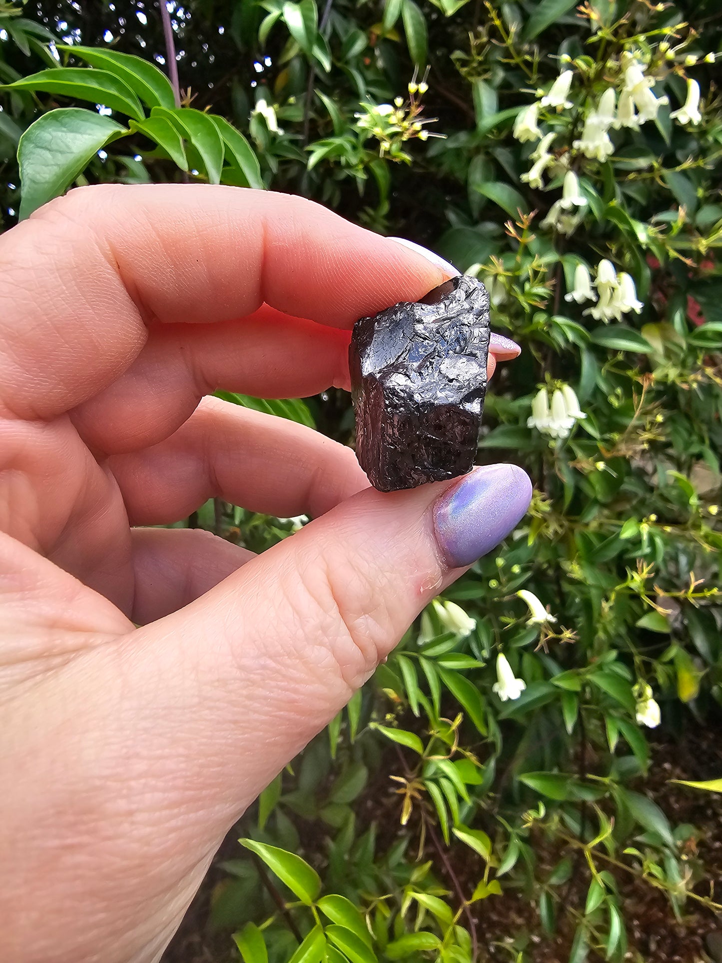 Elite Shungite Rough Piece E