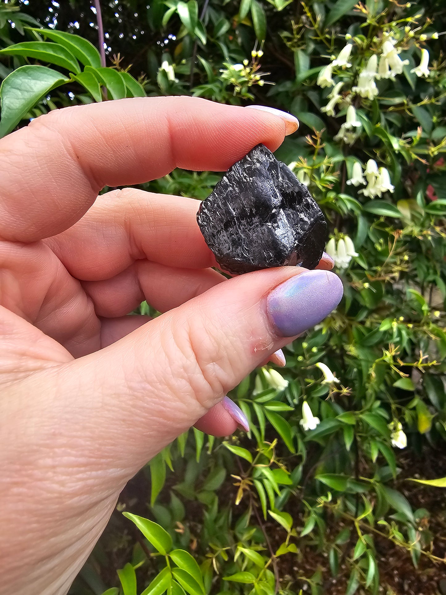 Elite Shungite Rough Piece E