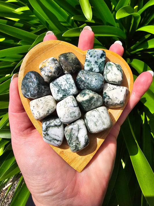 Tree Agate Tumbled Stone