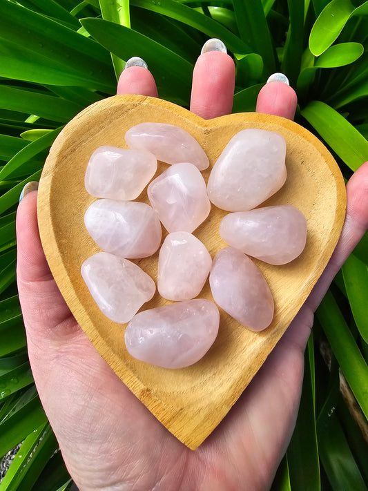 Rose Quartz Tumbled Stones 10 Pack Valued at $30