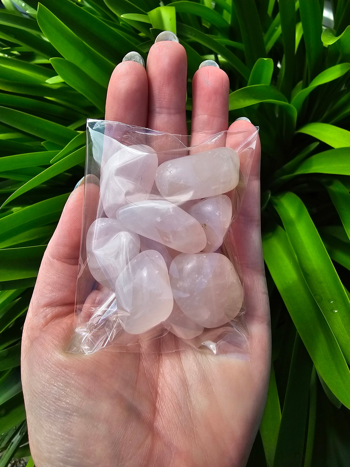 Rose Quartz Tumbled Stones 10 Pack Valued at $30