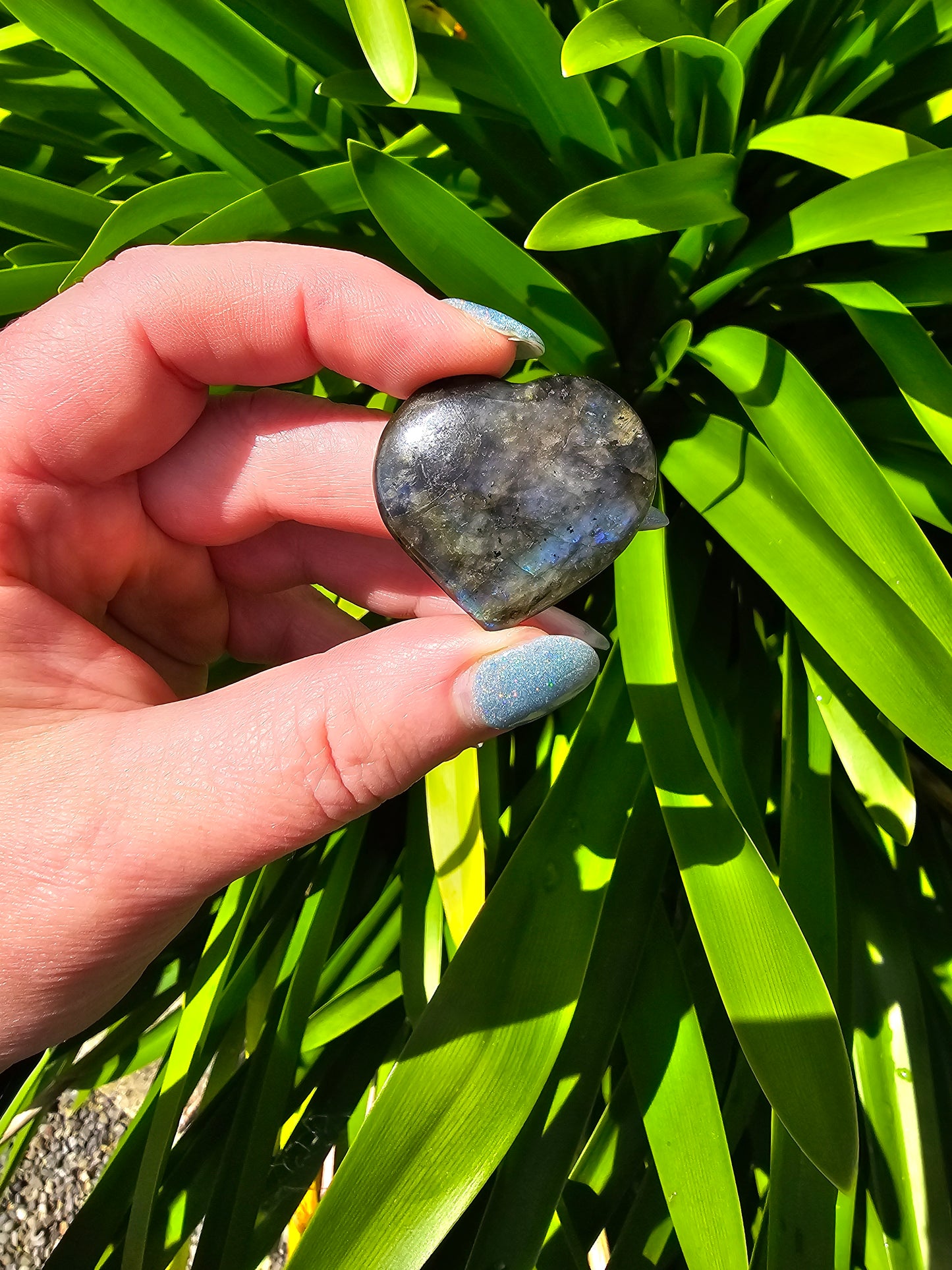 Labradorite Medium Heart