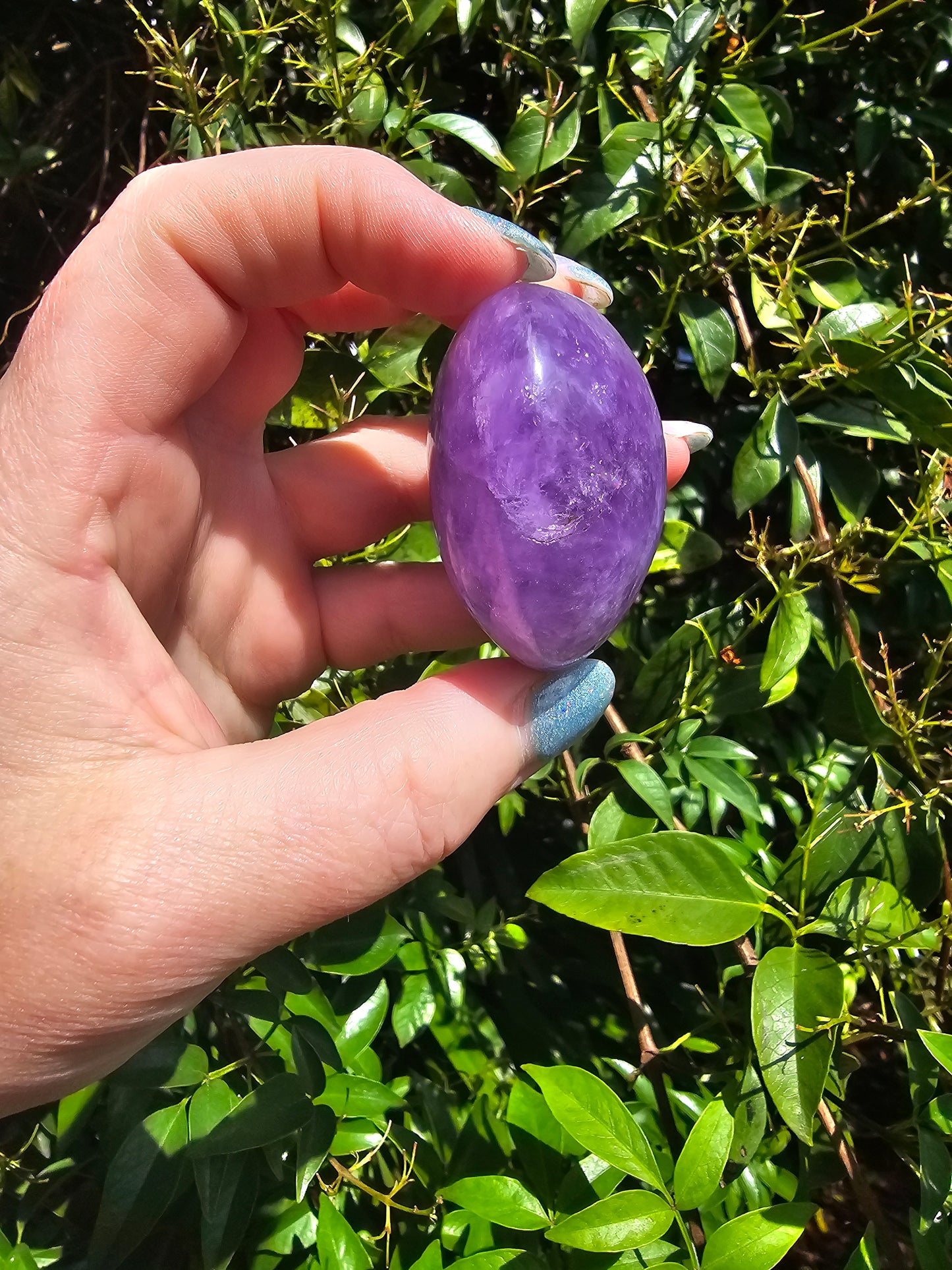 Amethyst Palm Stone D