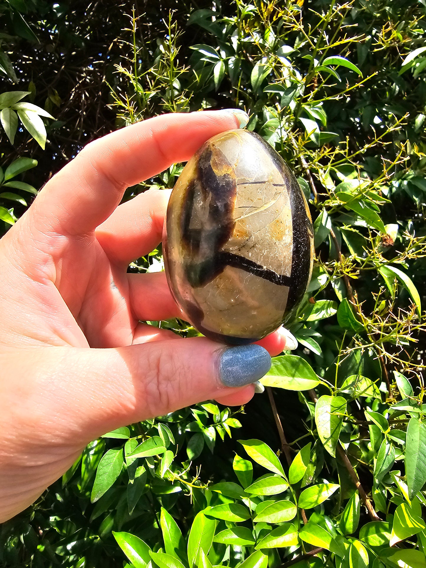 Septarian Egg A