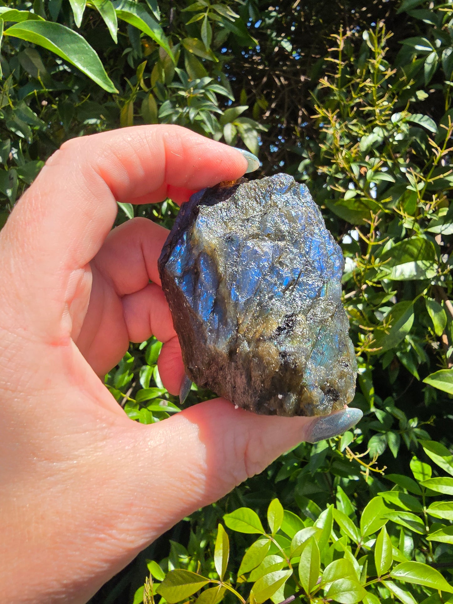 Labradorite Semi Polished Piece L