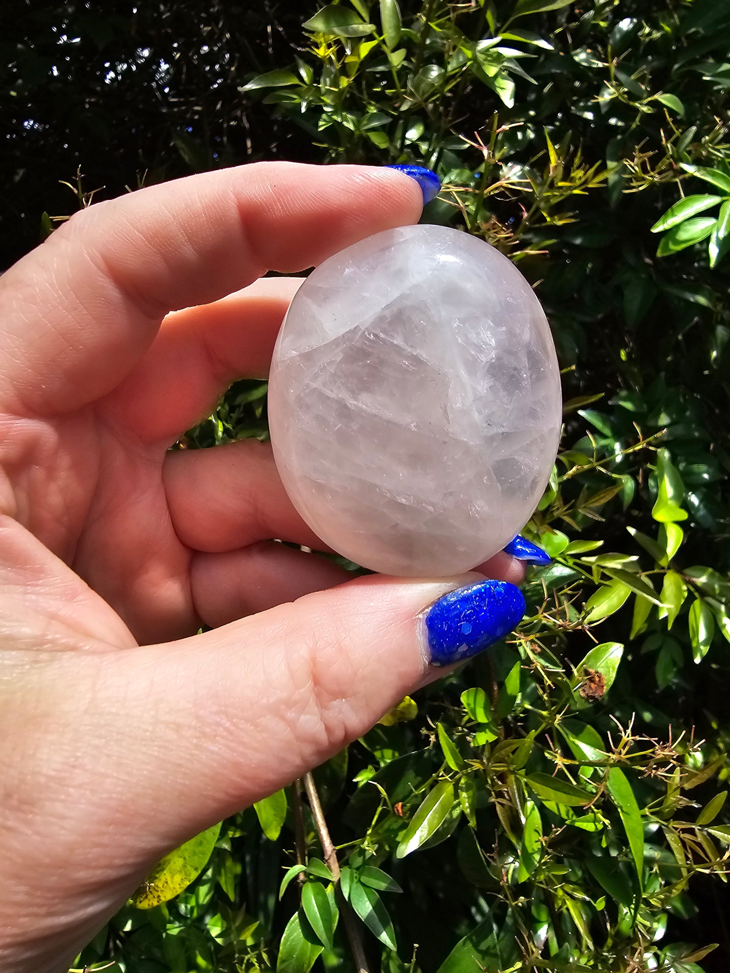 Rose Quartz Palm Stone D