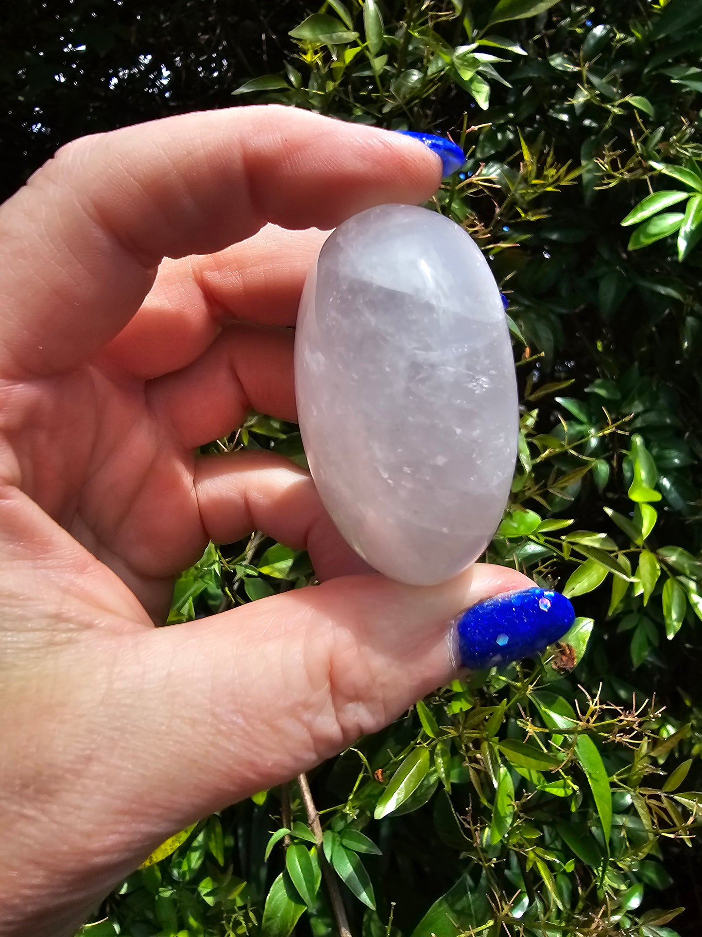 Rose Quartz Palm Stone D