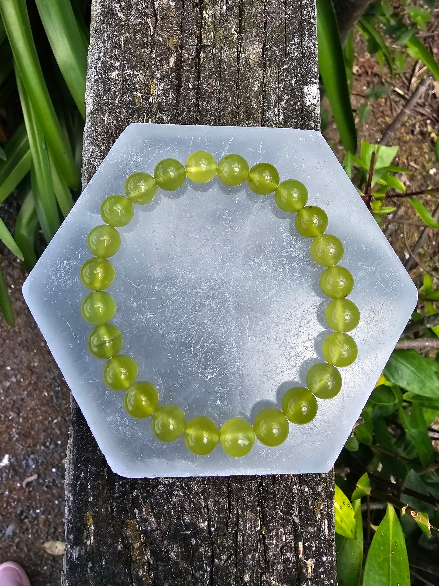 Lemon Serpentine | Round Bead Bracelet