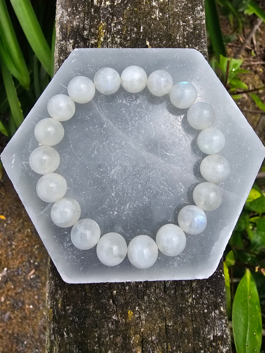 Rainbow Moonstone | Round Bead Bracelet