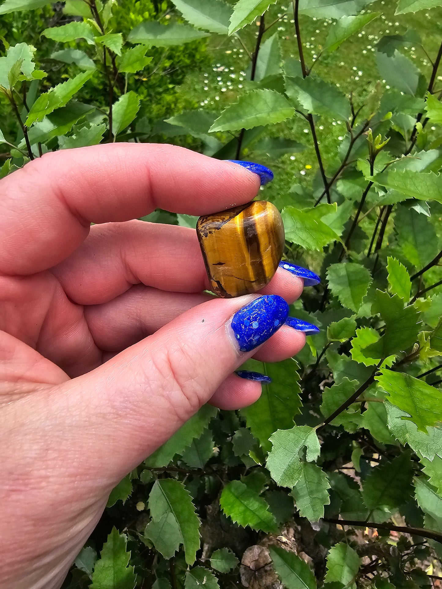 Tigers Eye Small Tumbled Stone