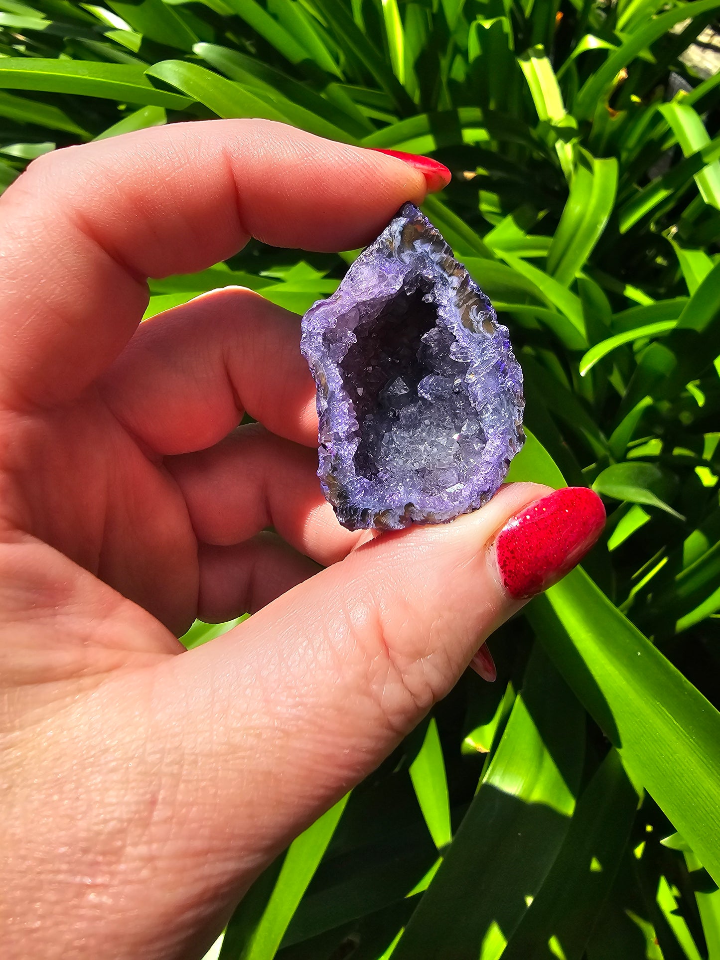 Agate Geode | Cave Purple Medium