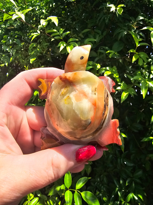 Banded Calcite Turtle Small B