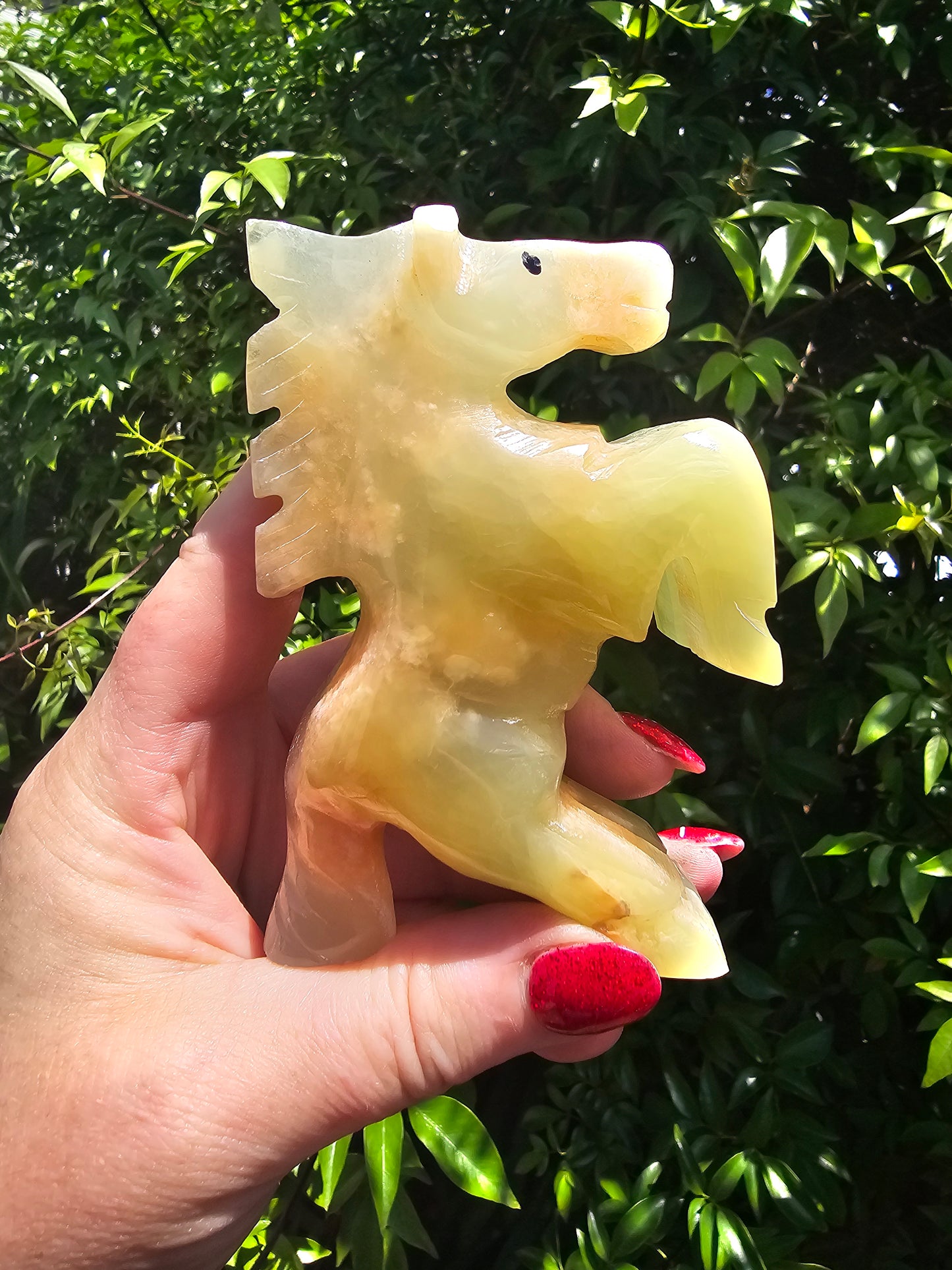 Banded Calcite Horse