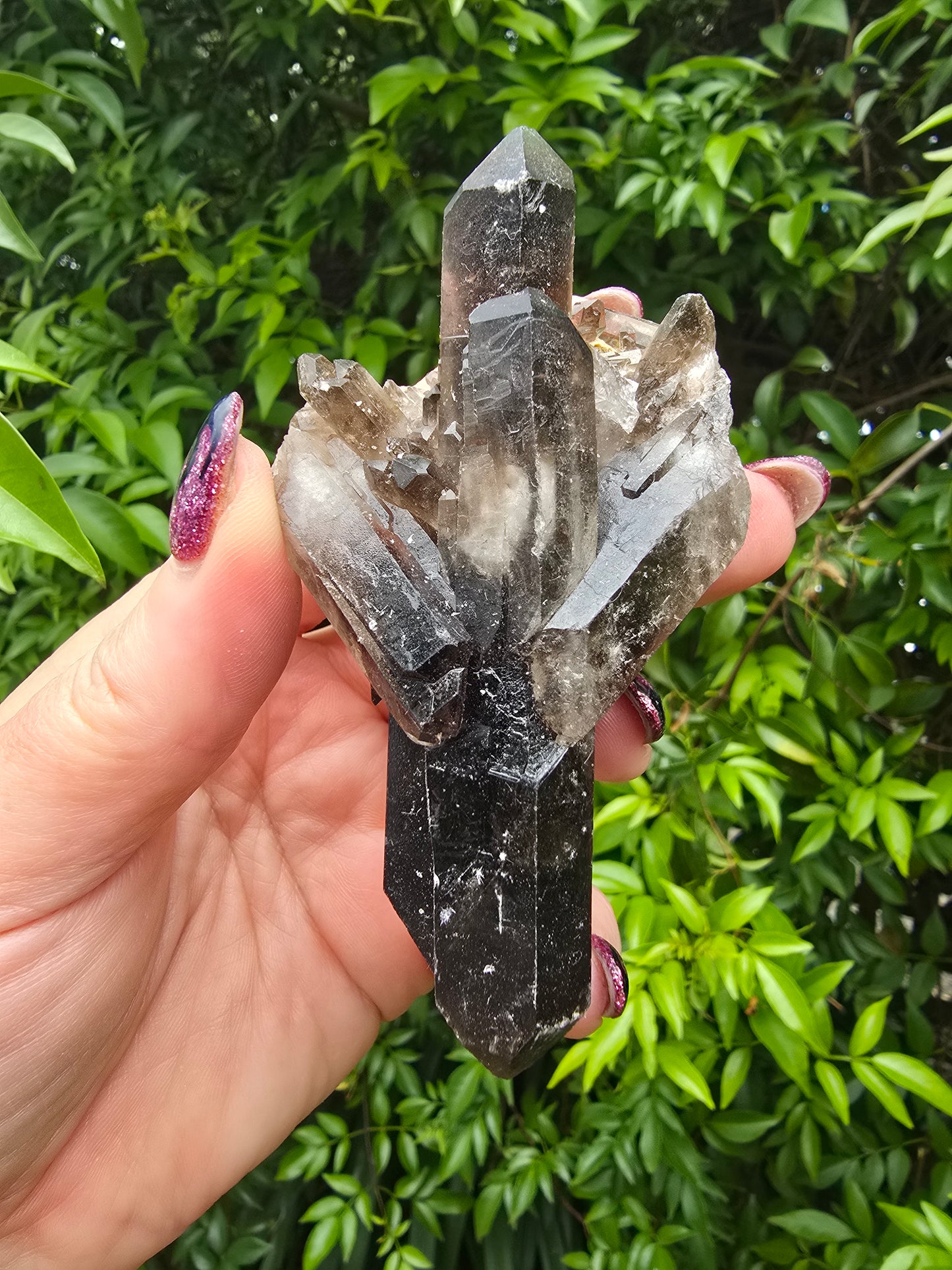 Smoky Quartz Cluster E