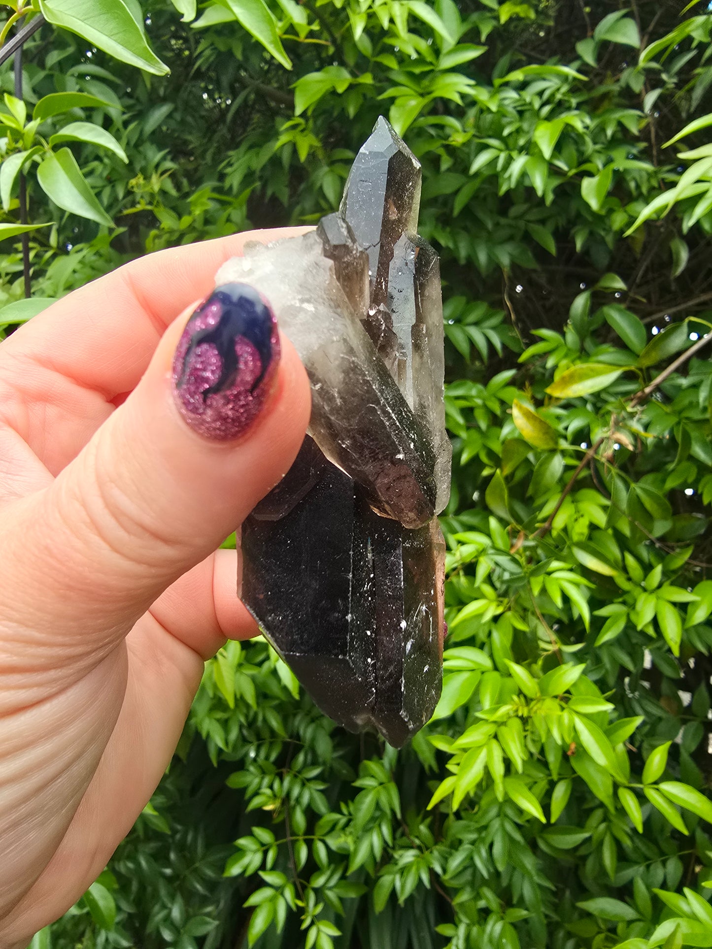 Smoky Quartz Cluster E