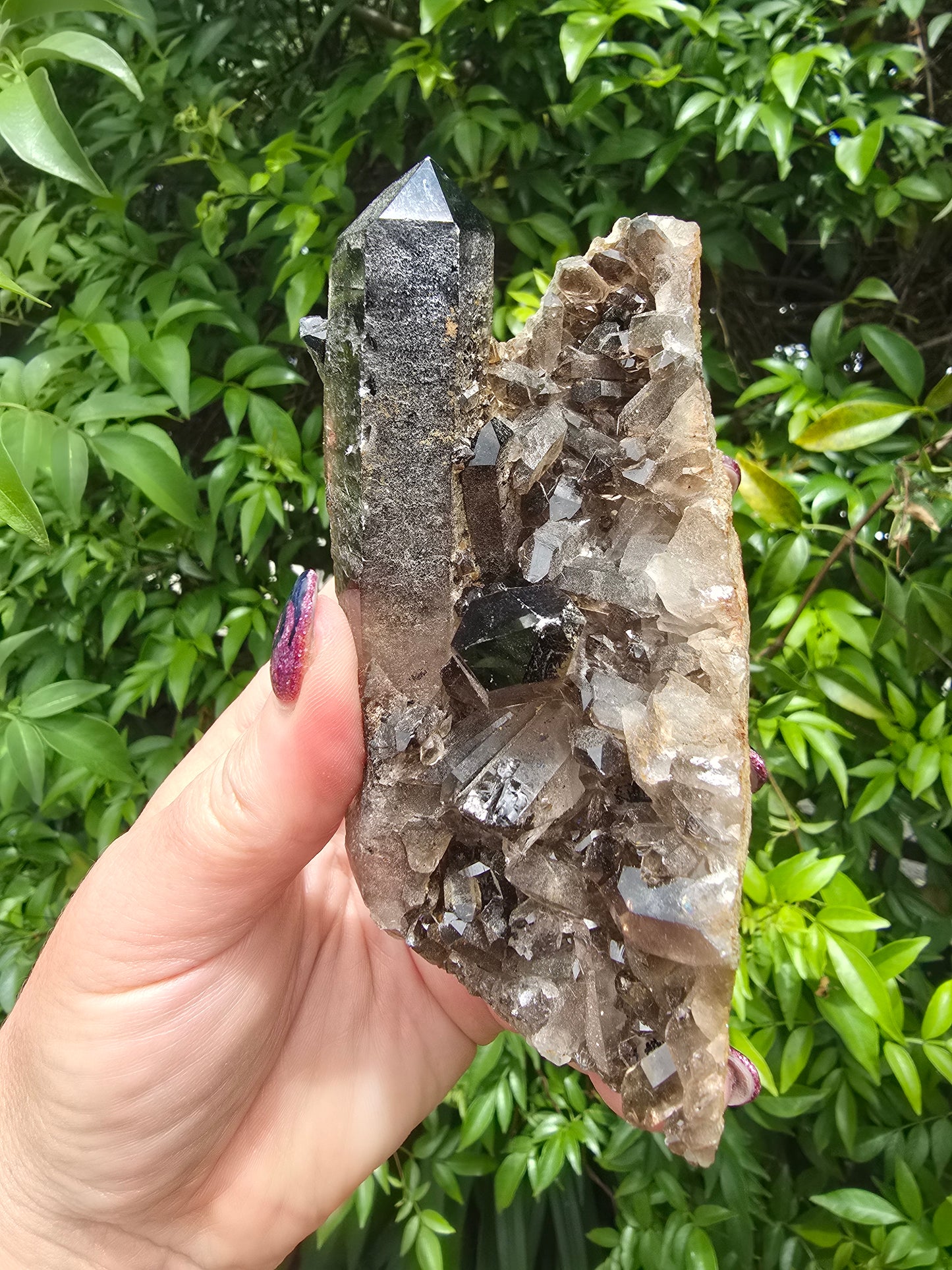 Smoky Quartz Cluster F