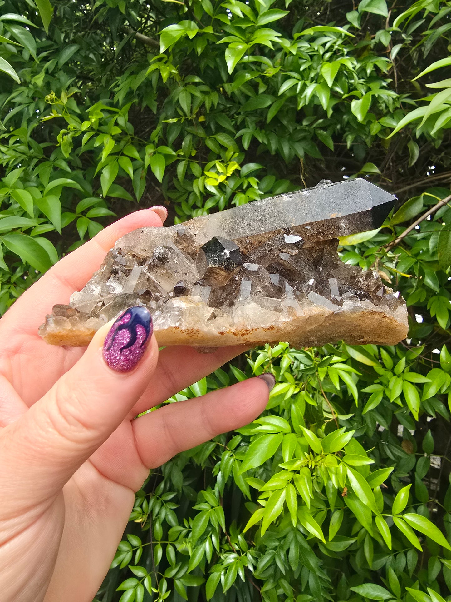 Smoky Quartz Cluster F