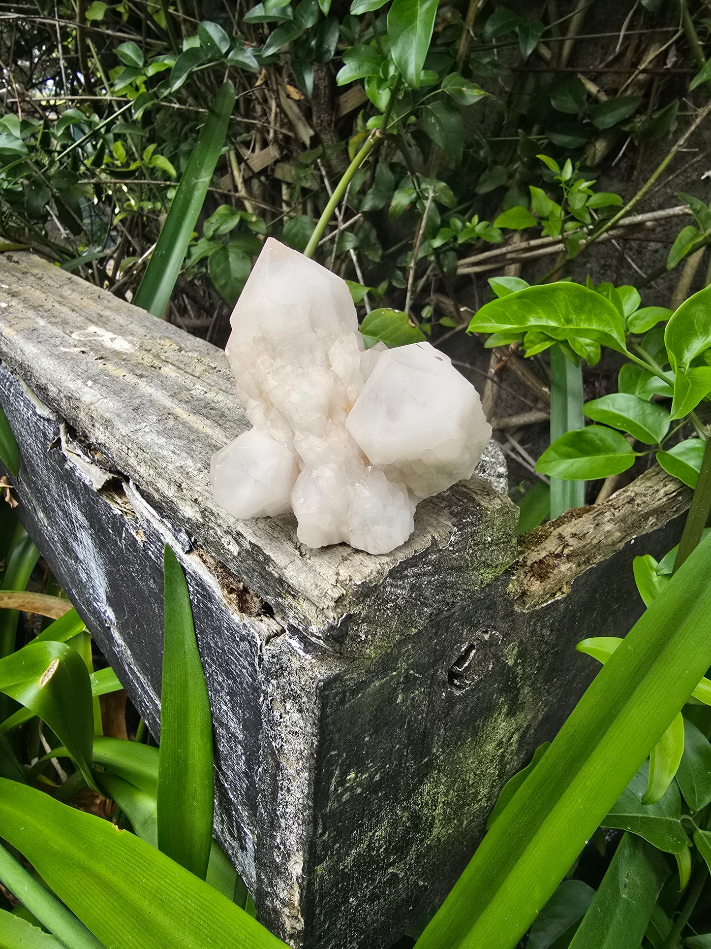 Candle Quartz Cluster D