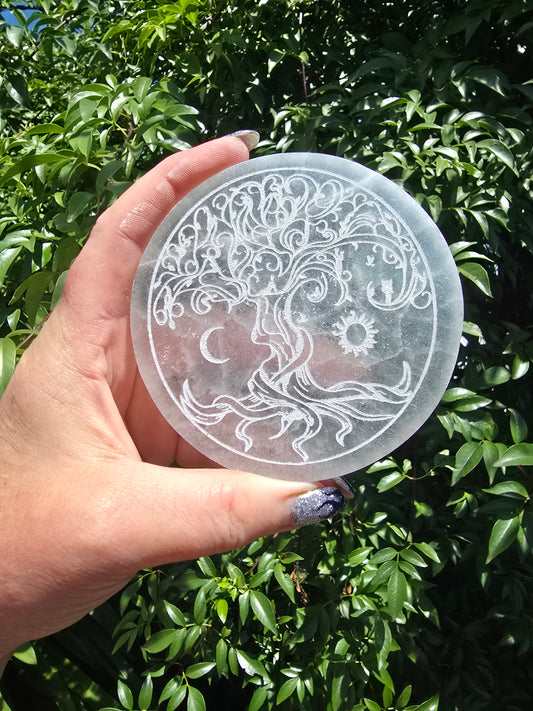 Tree Of Life Selenite Charging Plate