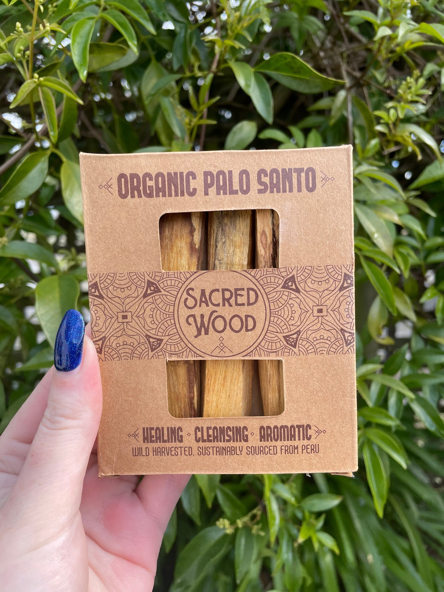 Organic Palo Santo Sticks x5